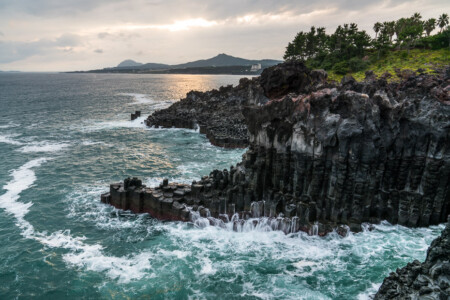 Asian Giant Causeway