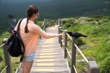 Hiking trails