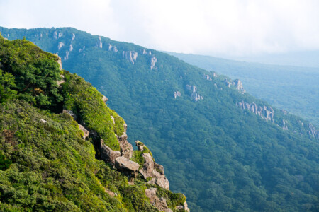 Jeju