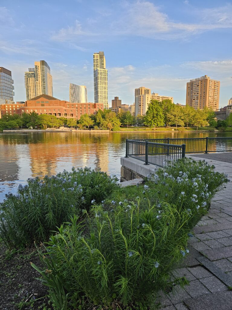 What to see in Boston in spring