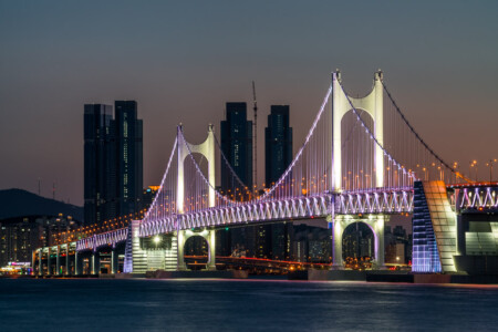 largets bridges of the world
