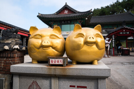 golden pig statue