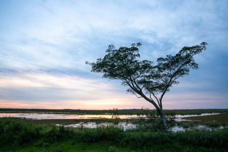 off the beaten track in argentina