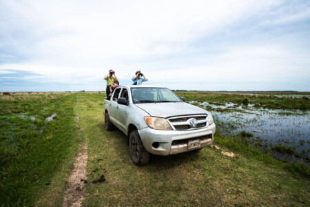 bird watching tours in ibera wetland