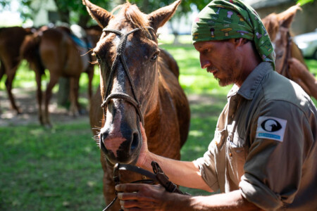 horseback riding in argentina