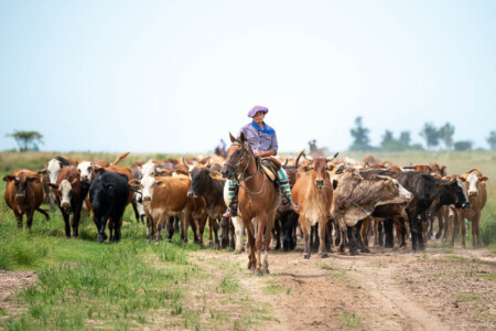 argentina gauchos