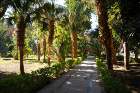 Aswan Botanical gardens review