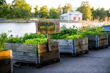 public communal gardens in Helsinki
