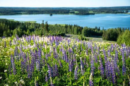 Messilä skiing resort in the summer