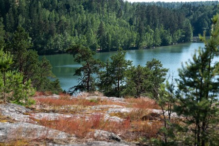 Vitträsk lake in Finland