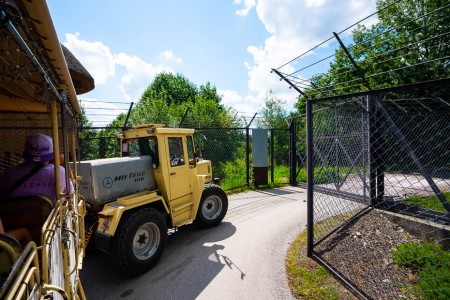 safari trucks at lion safari Dvůr Králové